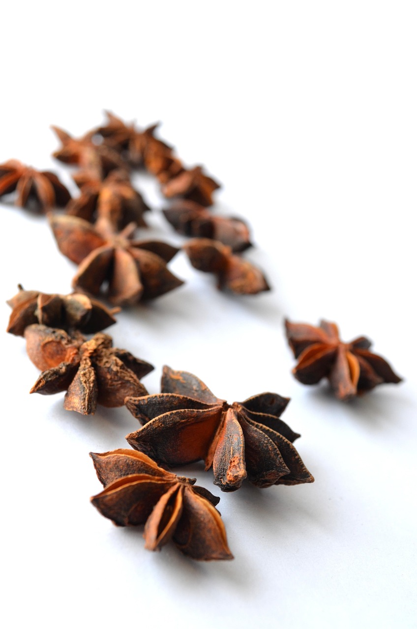 chinese star anise, anise, illicium verum, star anise, brown, flavor, food, exotic, aniseed, ingredient, oriental, spice
